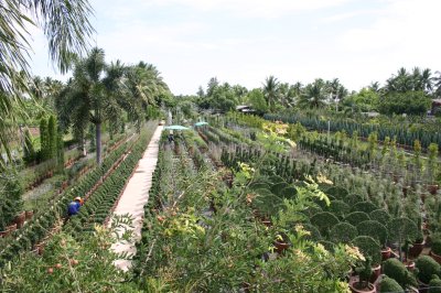 Export Topiary