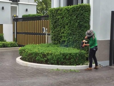 ทีมMaintenance