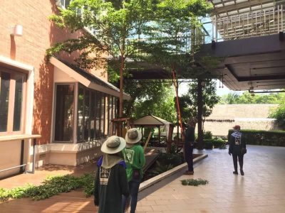 The Paseo Town รามคำแหง