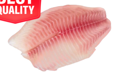 Frozen Tilapia Fillets