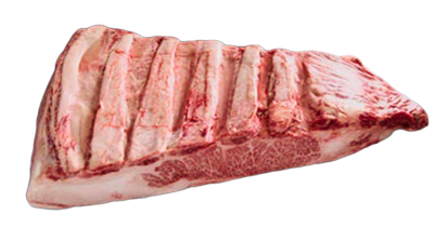 Chuck Short Rib (F1)