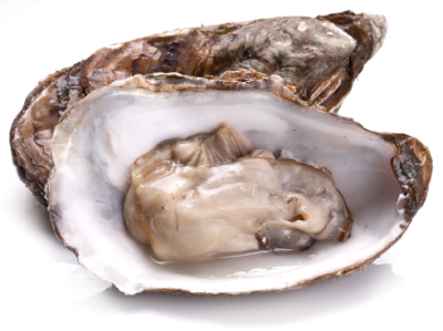 Half Shell Oyster