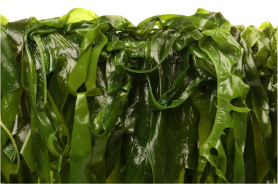 Dried Long Wakame