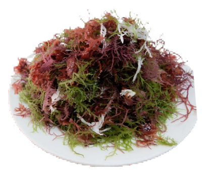 Dry Seaweed (Mix Color)