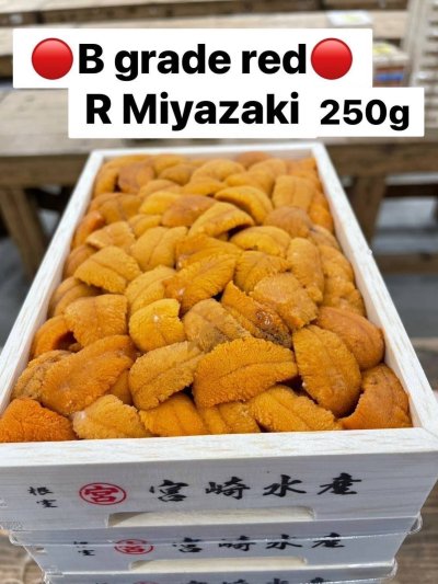 B Grade Red R Miyazaki
