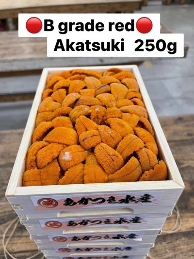 B Grade Red Akatsuki