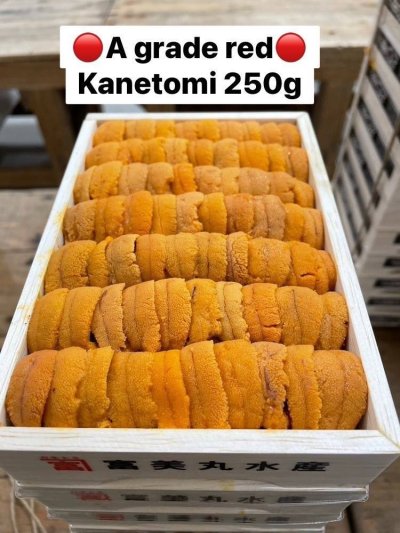 A Grade Red Kanetomi