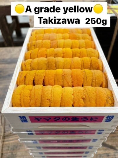 A Grade Yellow Takizawa