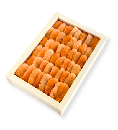 Fresh Uni Bafun Size 100g