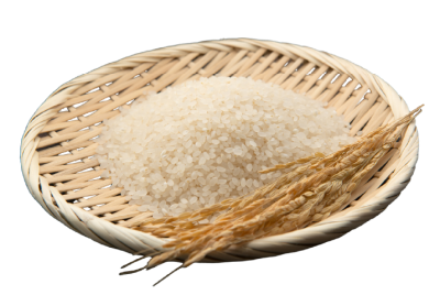 Japanese Rice