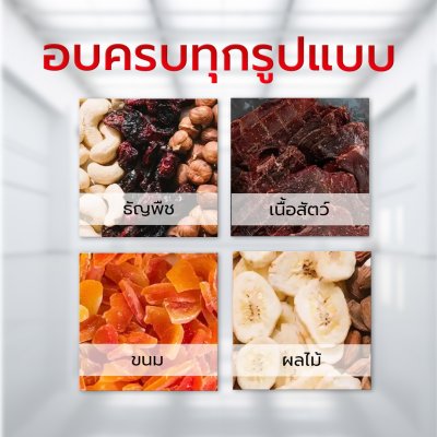 ตู้อบลมร้อน 20 ถาด รุ่น XD-169