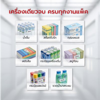 เครื่องแพ็คโหลอัตโนมัติ รุ่น BSF-6030XI