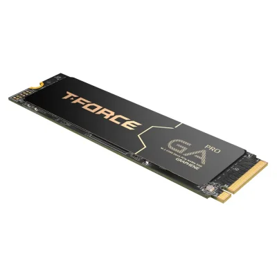 SSD M.2 2280 1TB PCle GEN 5 T-FORCE (TM8FFJ001T0C129)