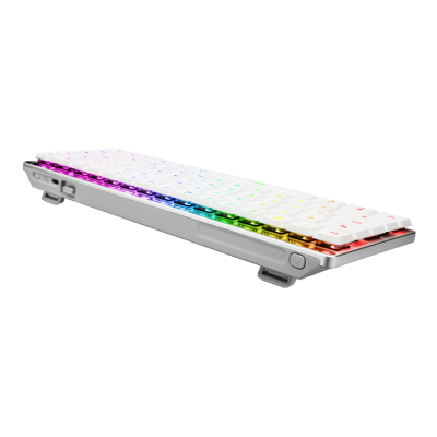 ASUS K/B ROG FALCHION RX LOWPROFILE BLUE SWITCH (90MP03ED-BKLA10)