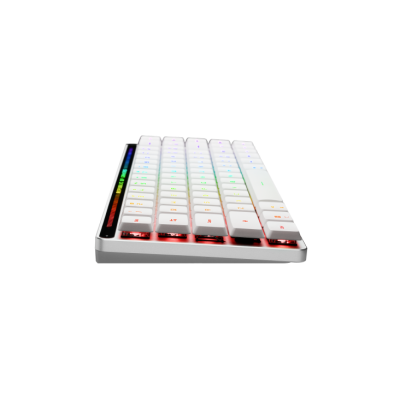 ASUS K/B ROG FALCHION RX LOWPROFILE BLUE SWITCH (90MP03ED-BKLA10)