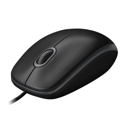 LOGITECH USB MOUSE (B100)