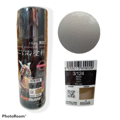 3/124 สีบรอนซ์เงิน