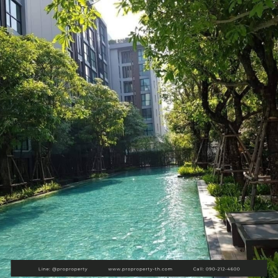 Condo for rent VTARA SUKHUMVIT 36 Condo for rent VTARA SUKHUMVIT 36