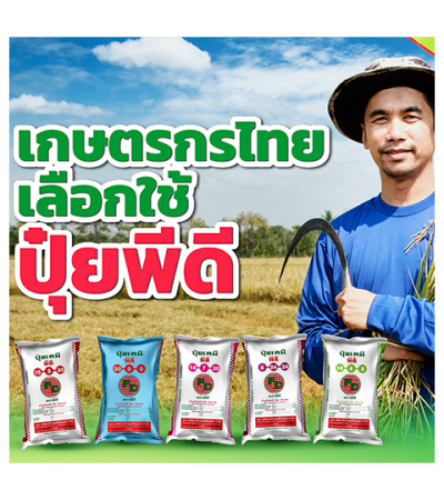 รีวิวจากผู้ใช้จริง