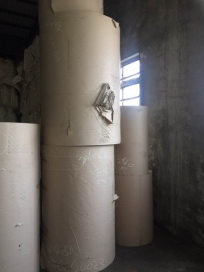 Liner Board Kraft  dạng cuộn