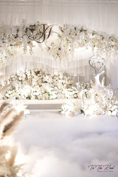 TieTheKnot Wedding 