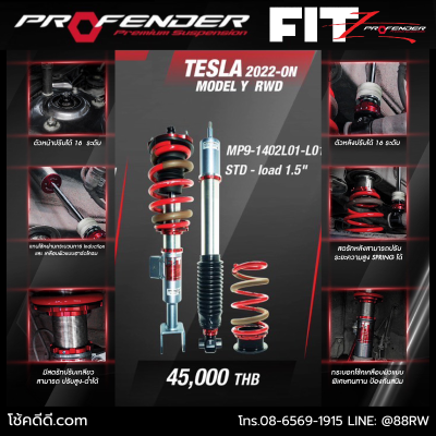 fitz-tesla 22+ model y rwd