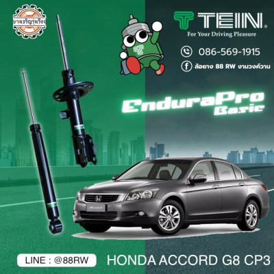 tein endura pro basic honda accord g8