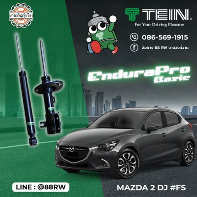 tein endura pro basic mazda 2 skyactive