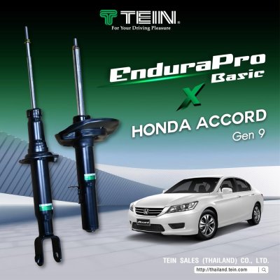 tein endura pro basic honda accord g9