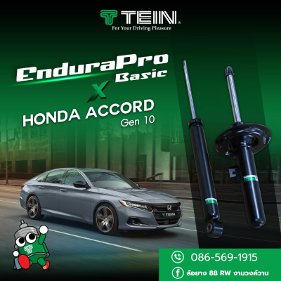 tein endura pro basic honda accord g10 cv1