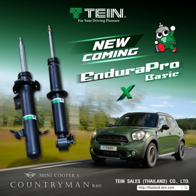 tein endura pro basic MINI COOPER COUNTRY R60 