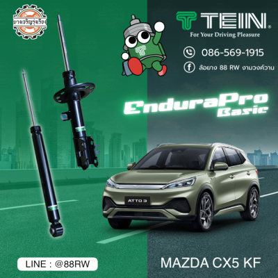 tein endura pro basic byd atto3