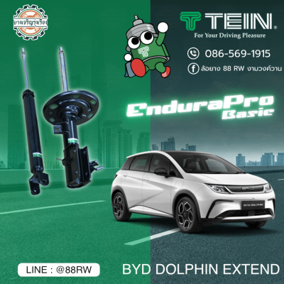 tein endura pro basic byd dolphin extend 