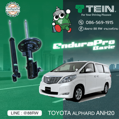 tein endura pro basic toyota alphard anh20