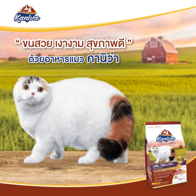 Kaniva เนื้อแกะ ทูน่า และข้าว 3.2 Kg.