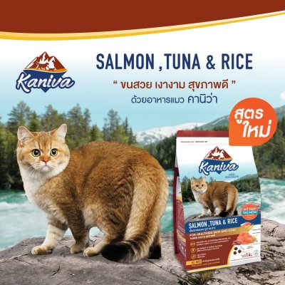 Kaniva เนื้อปลาแซลมอน ทูน่า และข้าว 3 Kg.