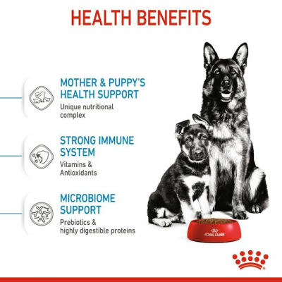 Royal Canin แม็กซี่ แม่สุนัขตั้งท้องและให้นมลูก สุนัขพันธุ์ใหญ่ 4 Kg.