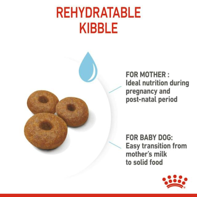 Royal Canin แม็กซี่ แม่สุนัขตั้งท้องและให้นมลูก สุนัขพันธุ์ใหญ่ 4 Kg.