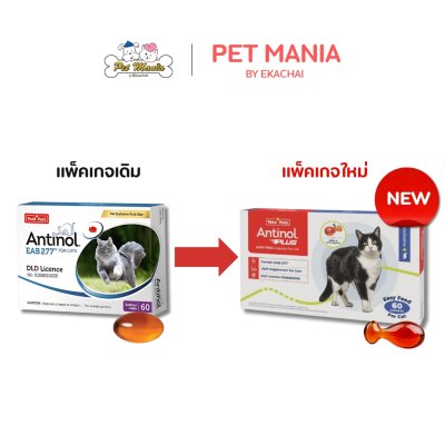 Antinol® EAB 277™ For Cat 60 Cap วิตามินบำรุงกระดูกและข้อ แมว 60 แคปซูล