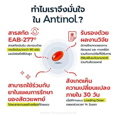Antinol® EAB 277™ For Dog 60 Cap วิตามินบำรุงกระดูกและข้อ สุนัข 60 แคปซูล