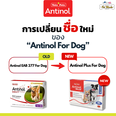 Antinol® Plus For Dog 60 Cap/Box วิตามินบำรุงกระดูกและข้อ สุนัข 60 แคปซูล