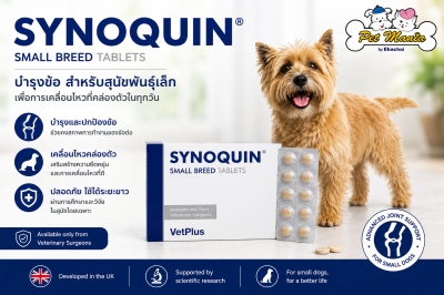 Synoquin < 10 kg  จำนวน 30 เม็ด