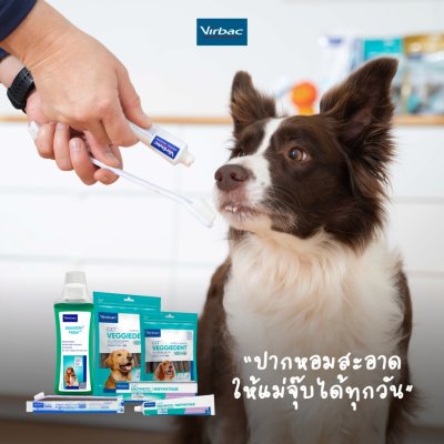 Virbac AQUADENT FR3SH น้ำยาบ้วนปากสุนัขและแมว 250ml.