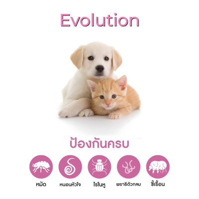 REV puppies and kittens