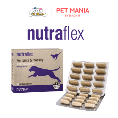 Nutraflex Support for joints and mobility สำหรับสุนัขและแมว ขนาด 60 capsule/box