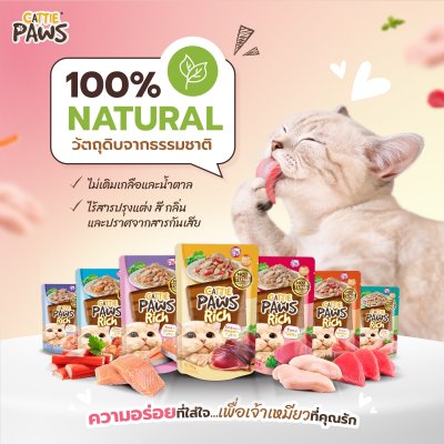 Cattie Paws Rich แคทตี้ พาวส์ ริช อาหารเปียกแมว ขนาด 70 กรัม.