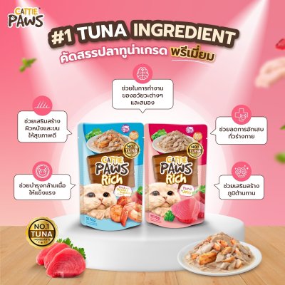 Cattie Paws Rich แคทตี้ พาวส์ ริช อาหารเปียกแมว ขนาด 70 กรัม.