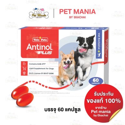 Antinol® Plus For Dog 60 Cap/Box วิตามินบำรุงกระดูกและข้อ สุนัข 60 แคปซูล