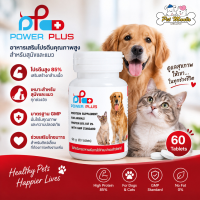 Pure Albumin tab ผลิตภัณฑ์เสริมโปรตีนไข่ขาวสกัดเข้มข้นในรูปแบบเม็ด (60เม็ด)