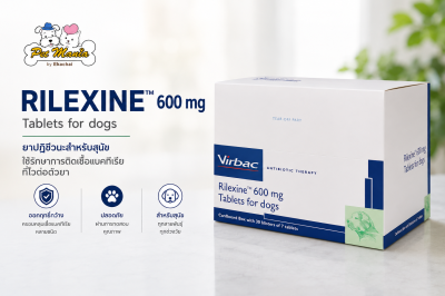 RILEXINE 600 mg Antibiotic for Dogs (Pack of 10 Tablets)
